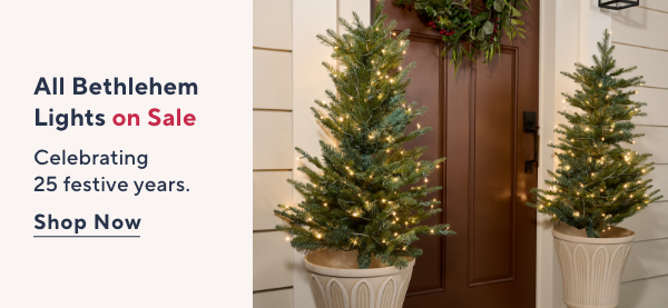 Bethlehem Lights