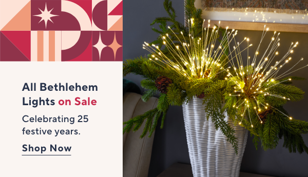 elevate every moment 