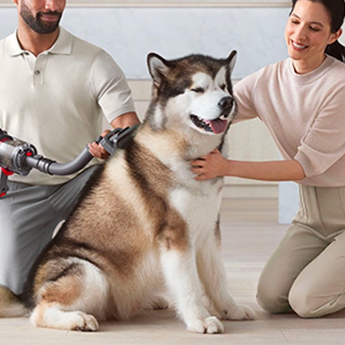 Dyson V15 Detect Fluffy con accessorio pet