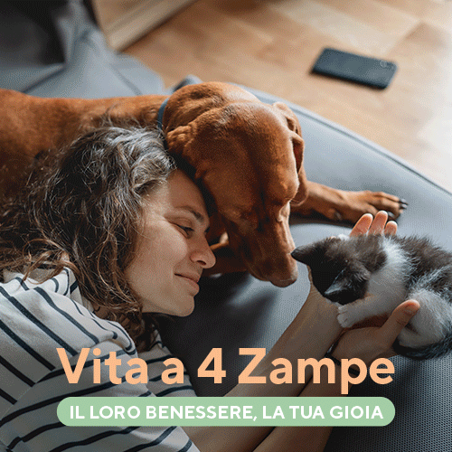 Vita a 4 zampe - il loro benessere, la tua gioia