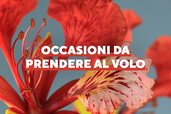 Occasioni da prendere al volo