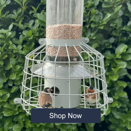 Grumpy Gardener Weighted Caged Feeder  