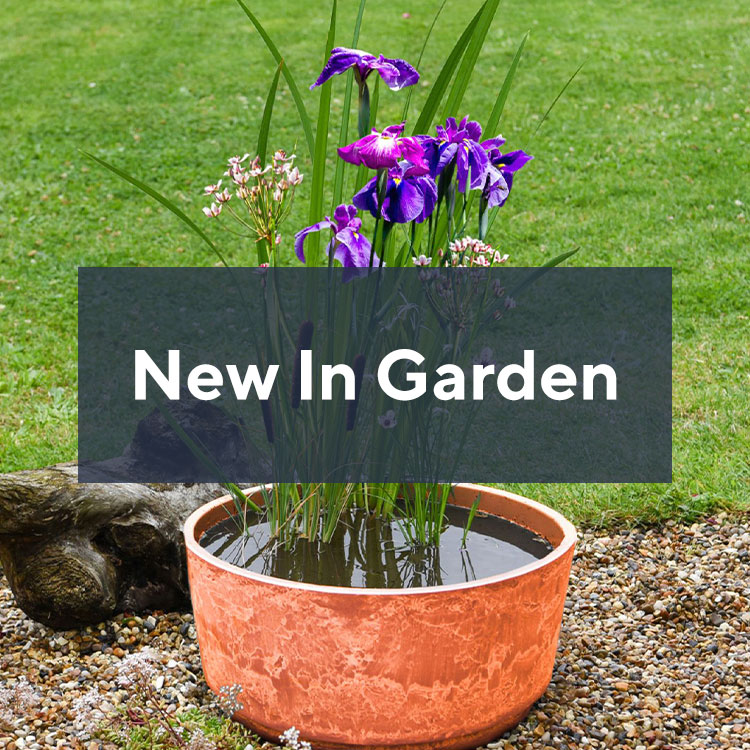 New In Garden