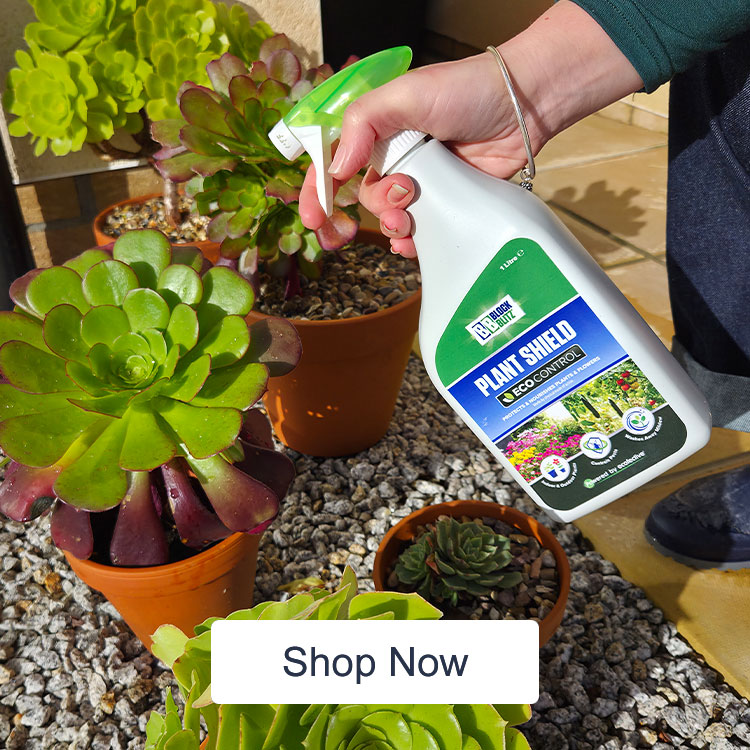 Block Blitz Plant Care Bundle