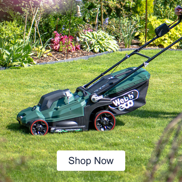 Cordless Garden Maintenance