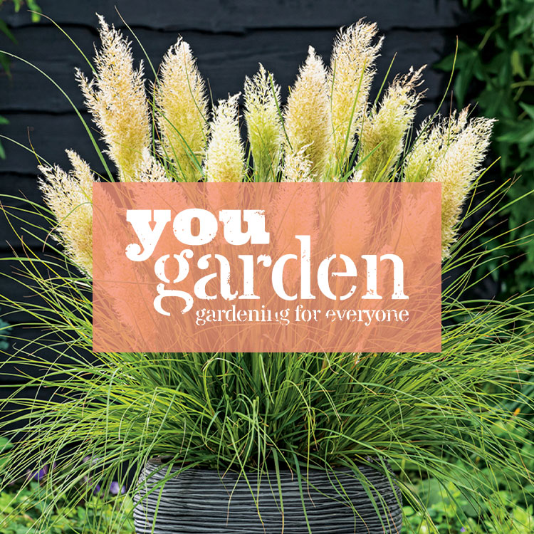 YouGarden