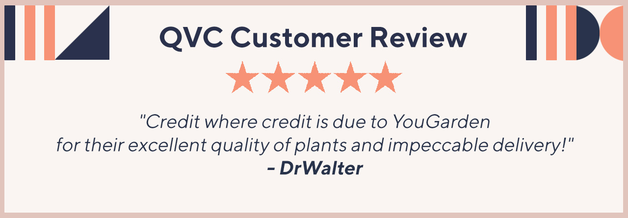 QVC Customer Review