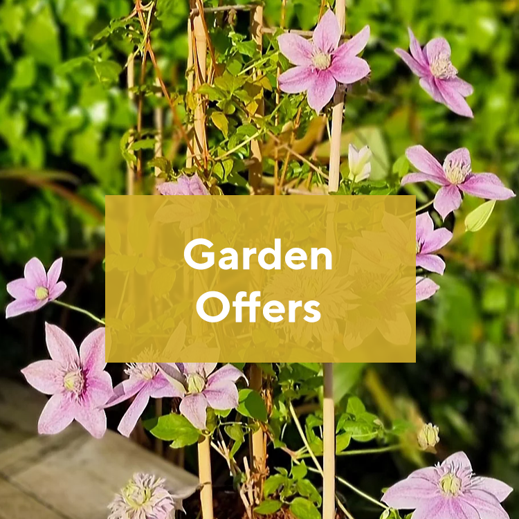 Garden Offers 