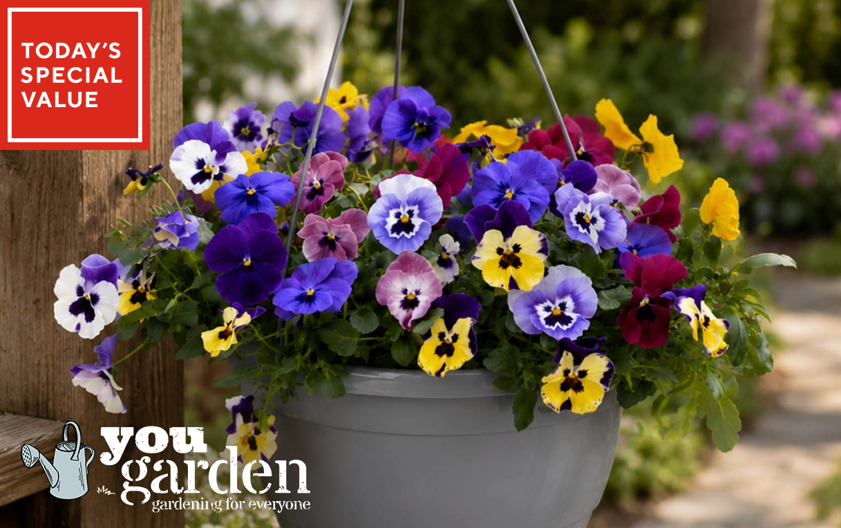 YouGarden