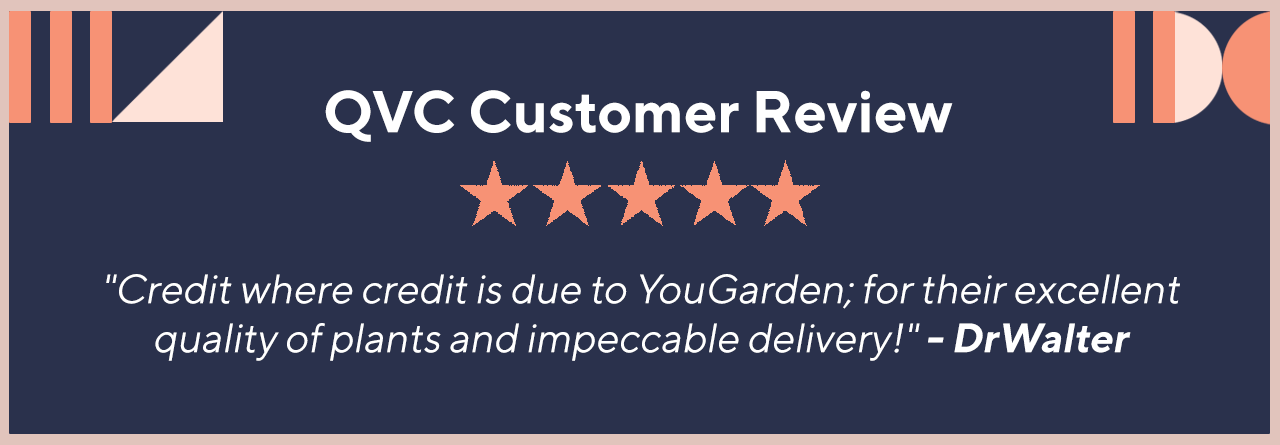 QVC Customer Review