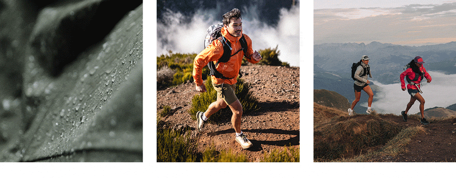 A selection of different images from several settings and in different weather conditions.