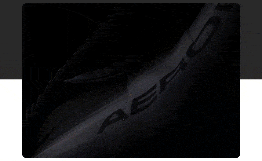 Image sequence showing AEROFIT back system details.