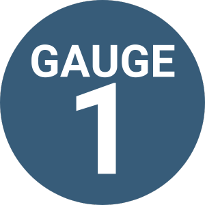 Gauge 1 →