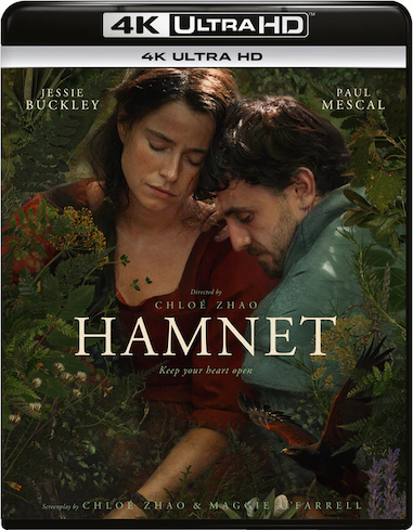 Pre-Order Hamnet Now