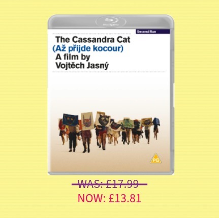 The Cassandra Cat 