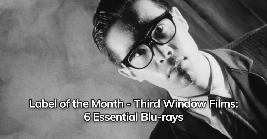 Read about the Rarewaves essential picks from the Third Window Films library