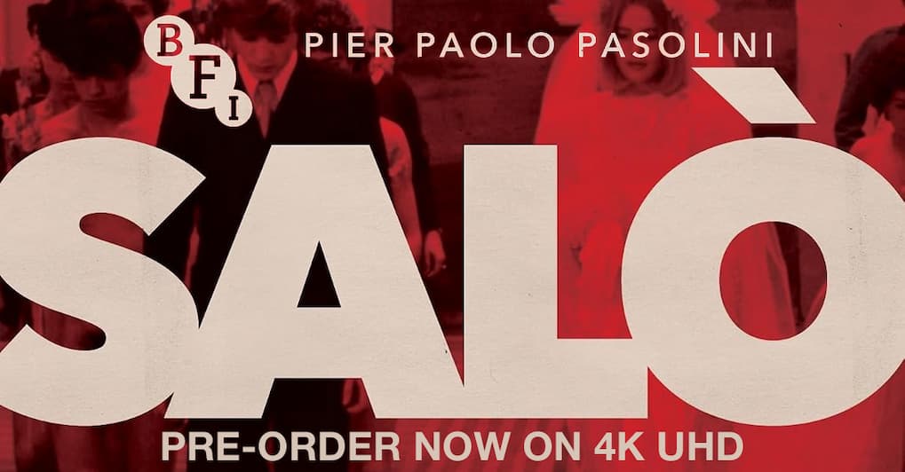 Salo Pre-Orders