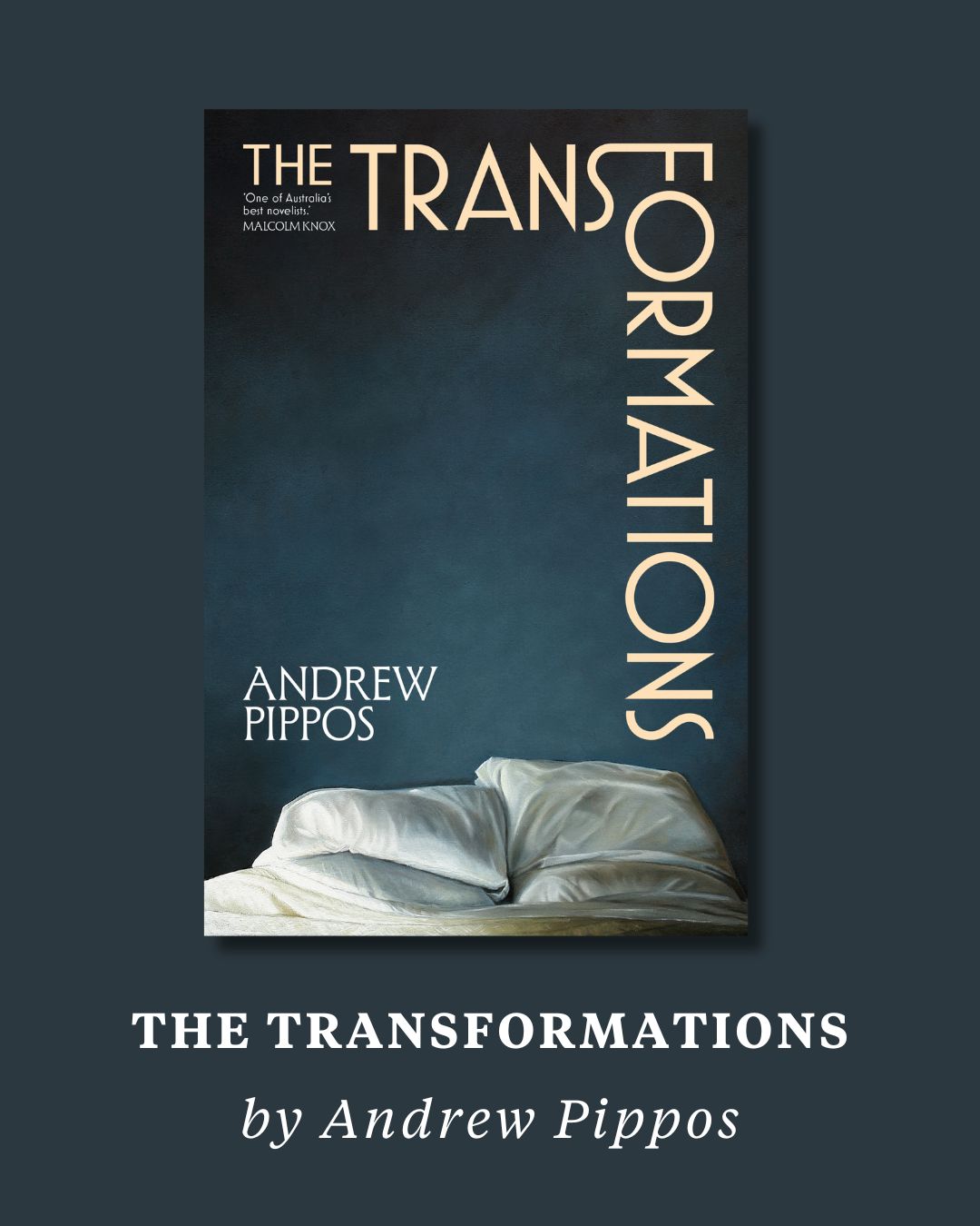 The book cover of The Transformations by Andrew Pippos