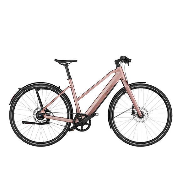 E-bikes