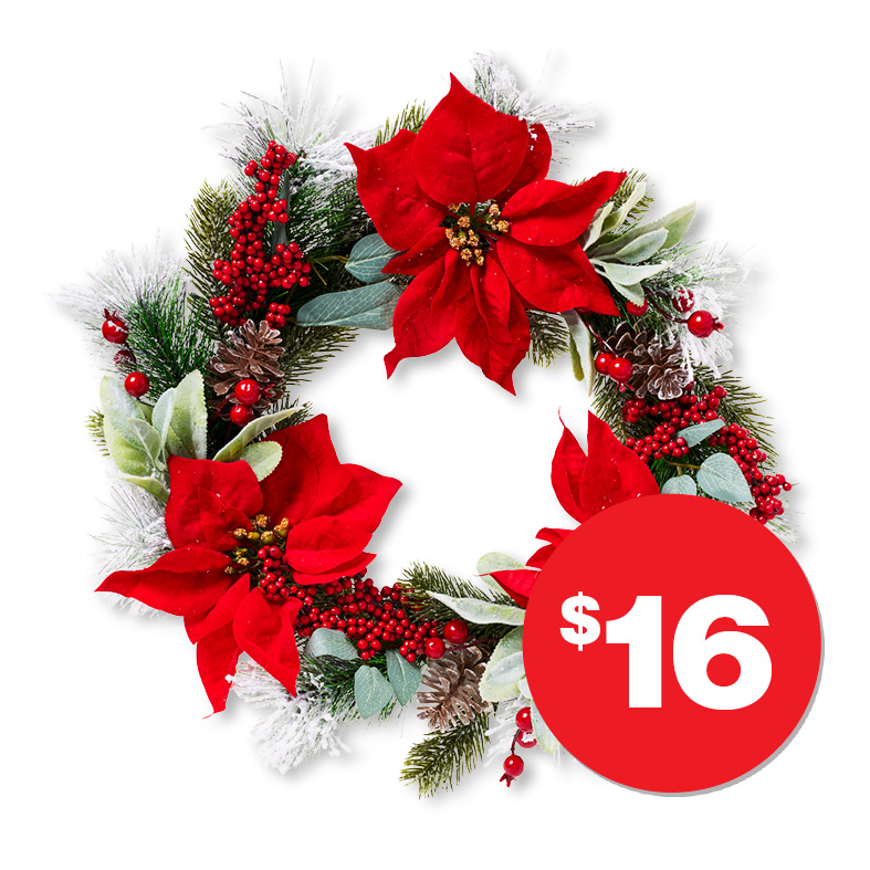 Christmas Winter Flocked Wreath  $16