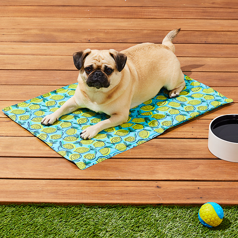 Pet Cooling Mat 50x75cm Assorted Designs $12.00