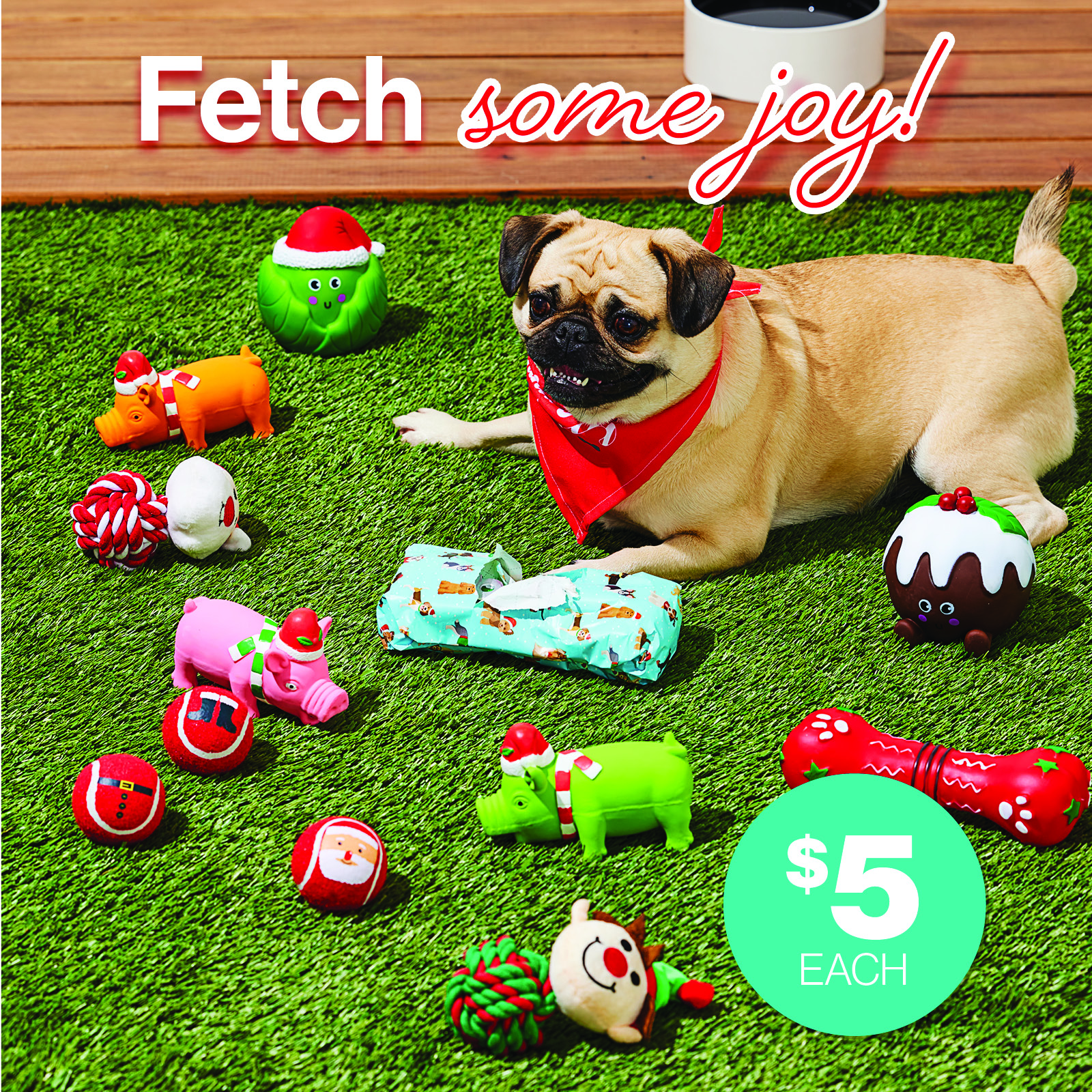 Fetch Some Joy!