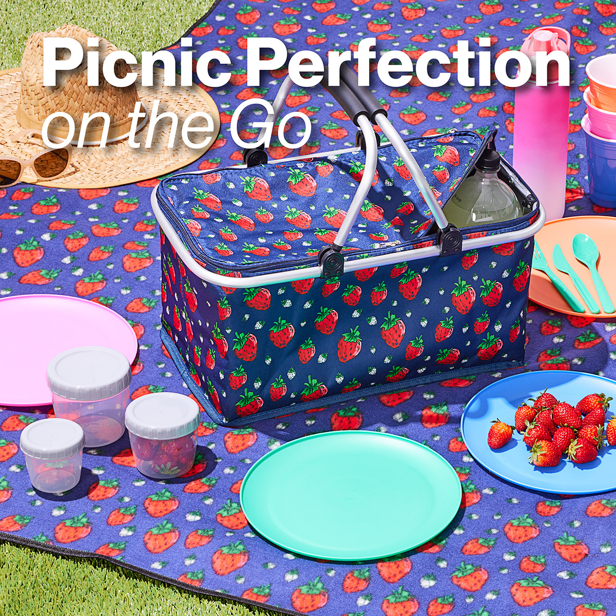 Picnic Perfection on the Go