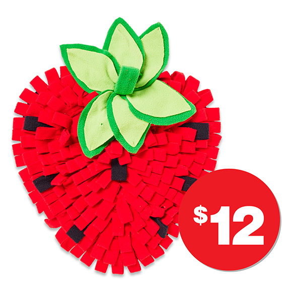 Strawberry Snuffle Mat  $12