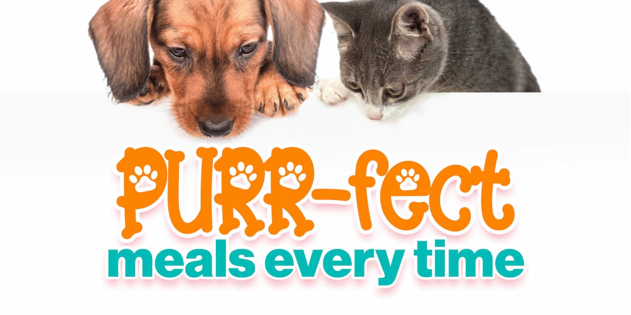Purr-Fect meals every time.
