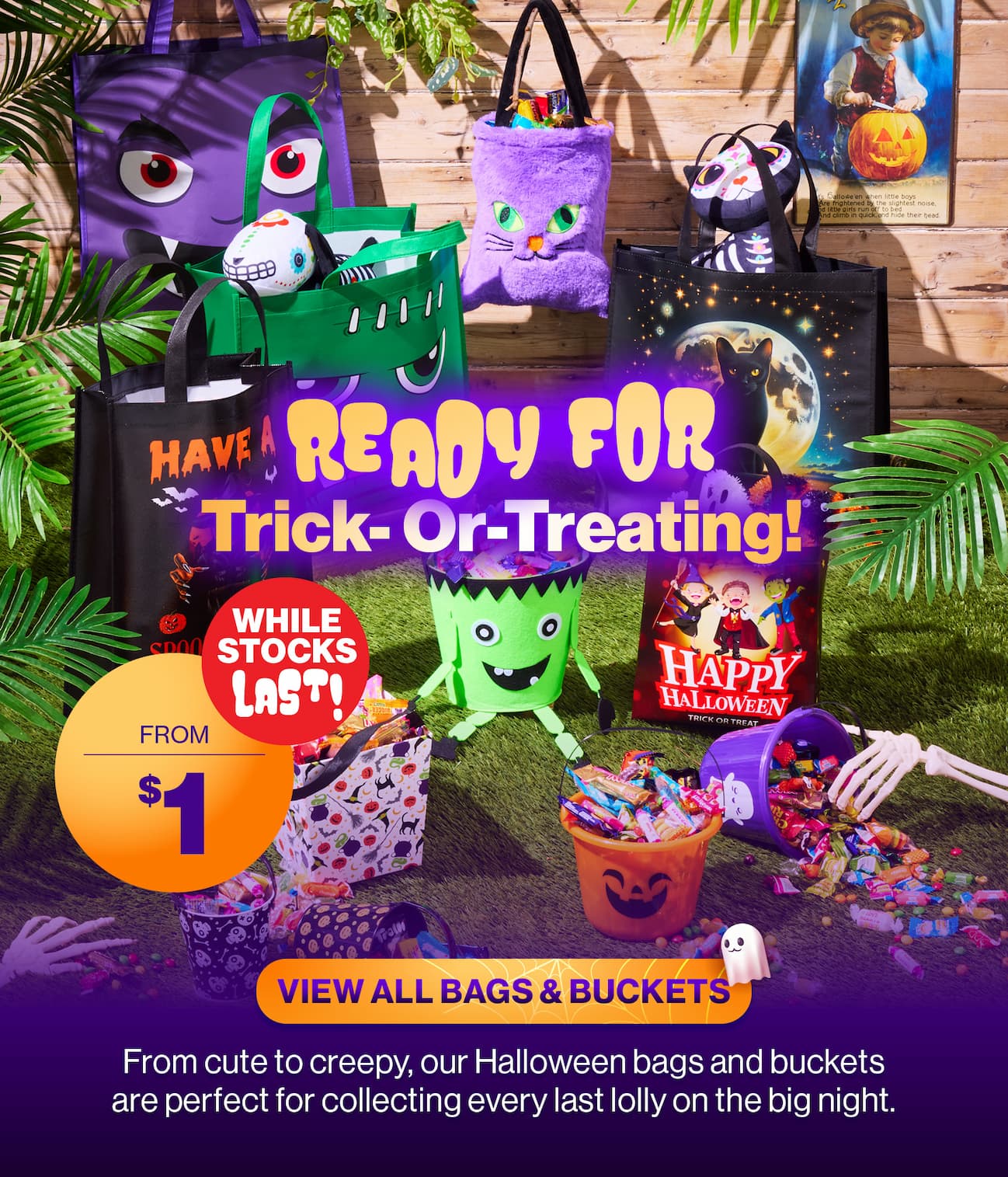 Ready for Trick or Treating