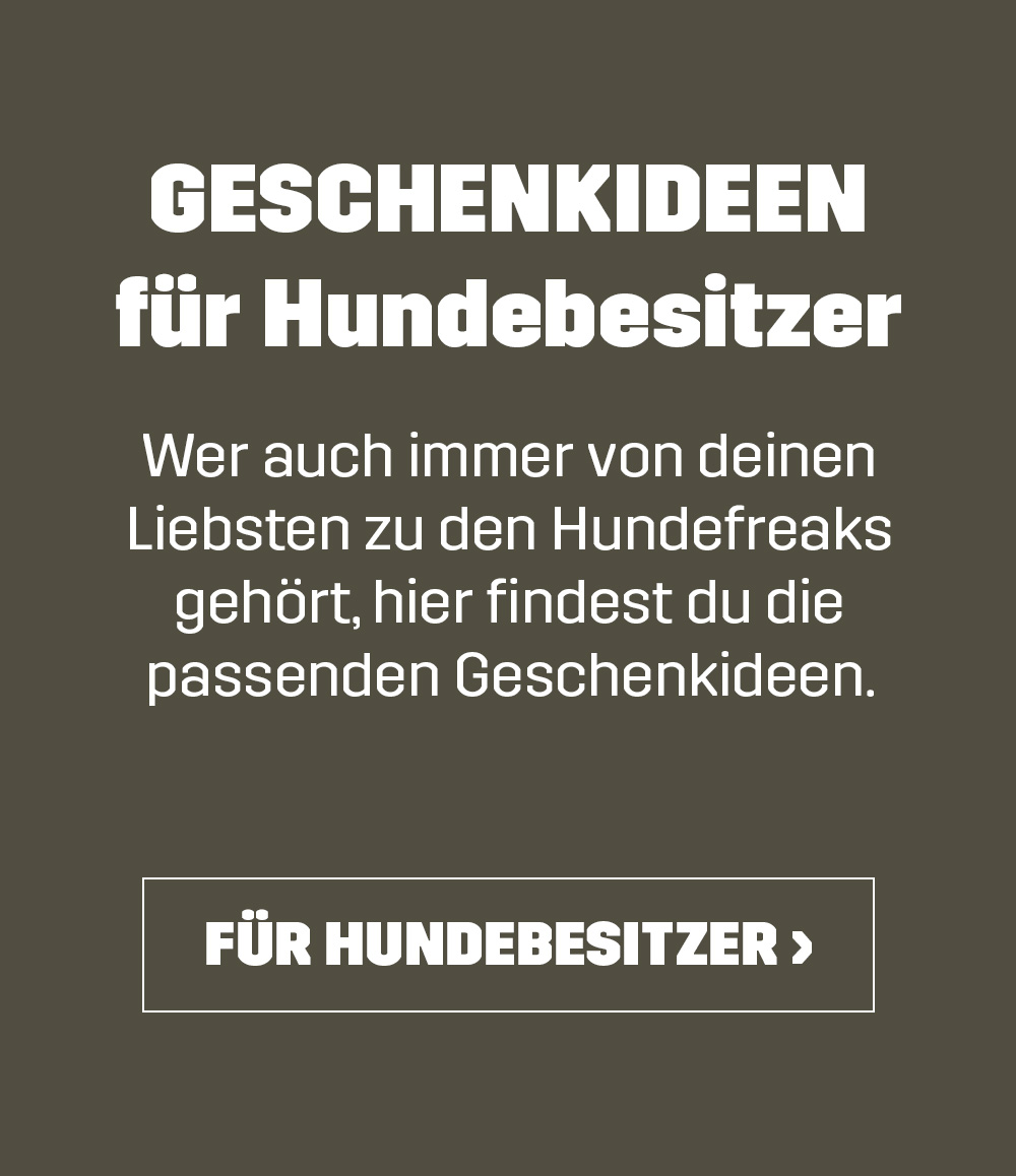 Gift ideas for dog owners