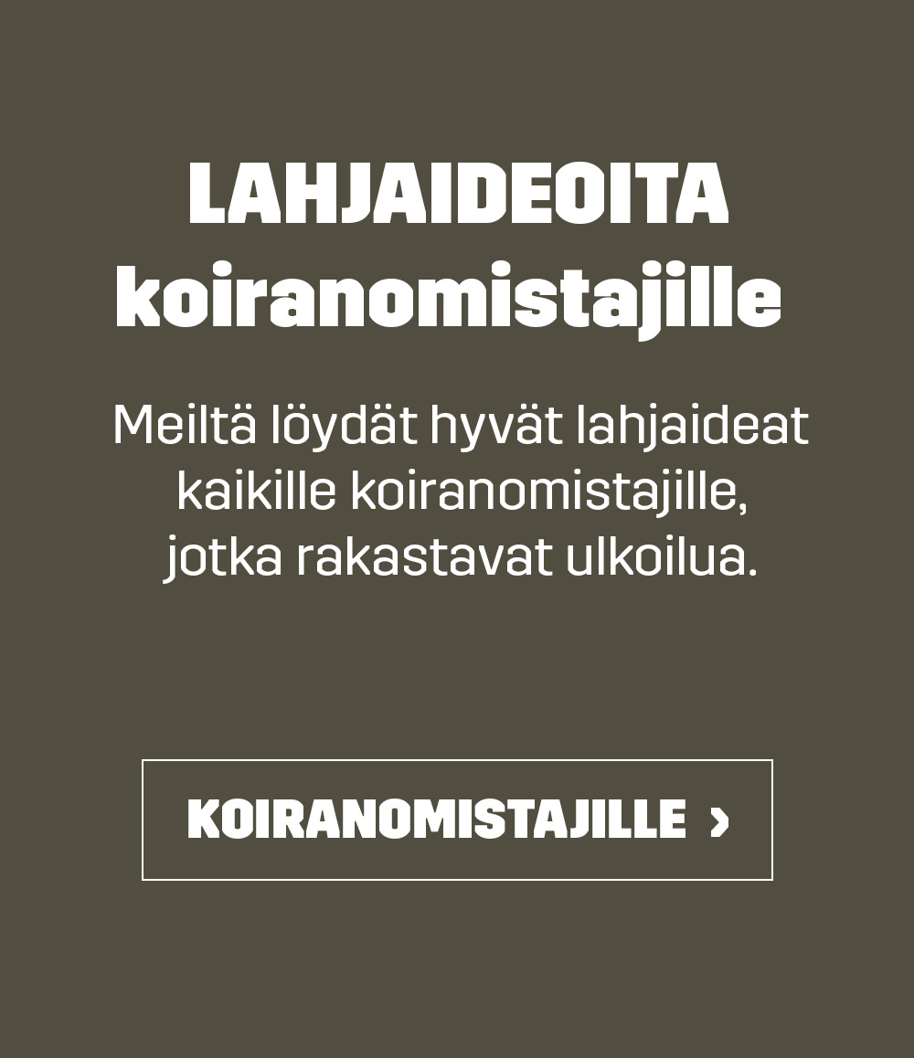 Gift ideas for dog owners