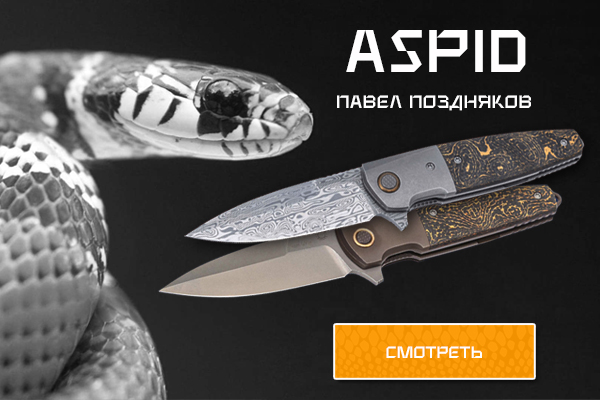 Поздняков Aspid