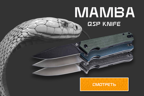 QSP Mamba