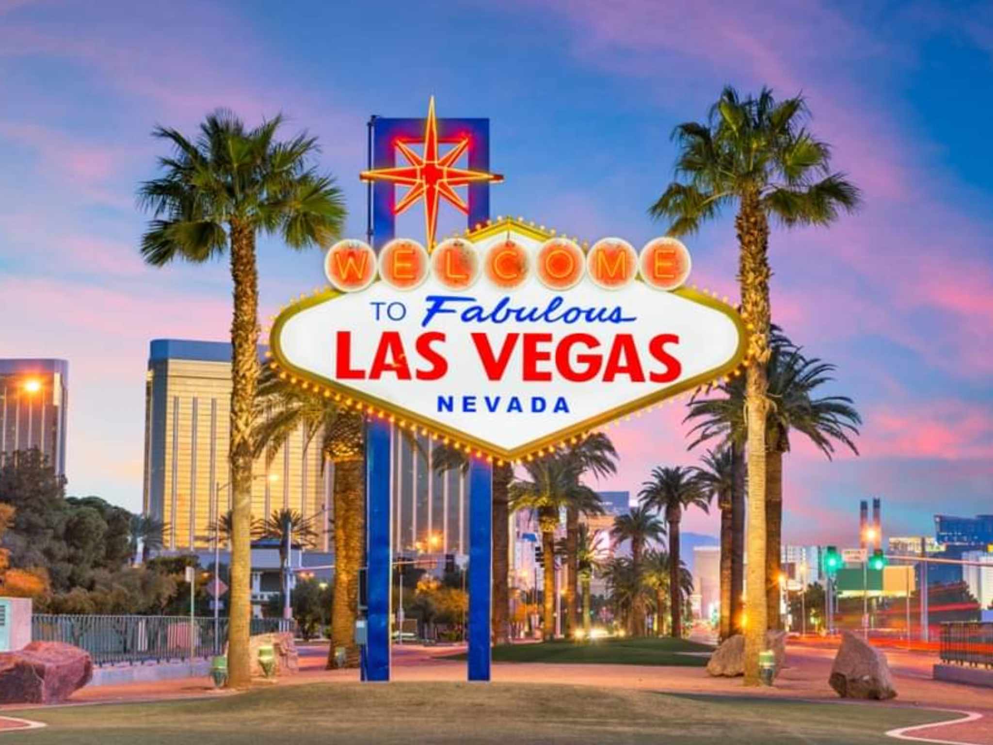 Image of LOW ODDS Las Vegas February 2026 Holiday