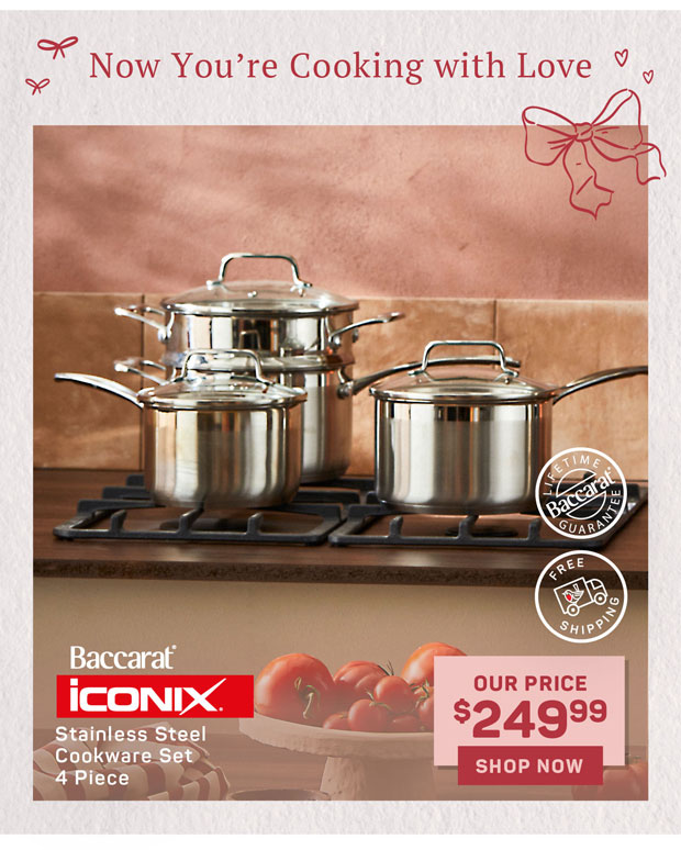 Baccarat iconiX 4 Piece Stainless Steel Cookware Set