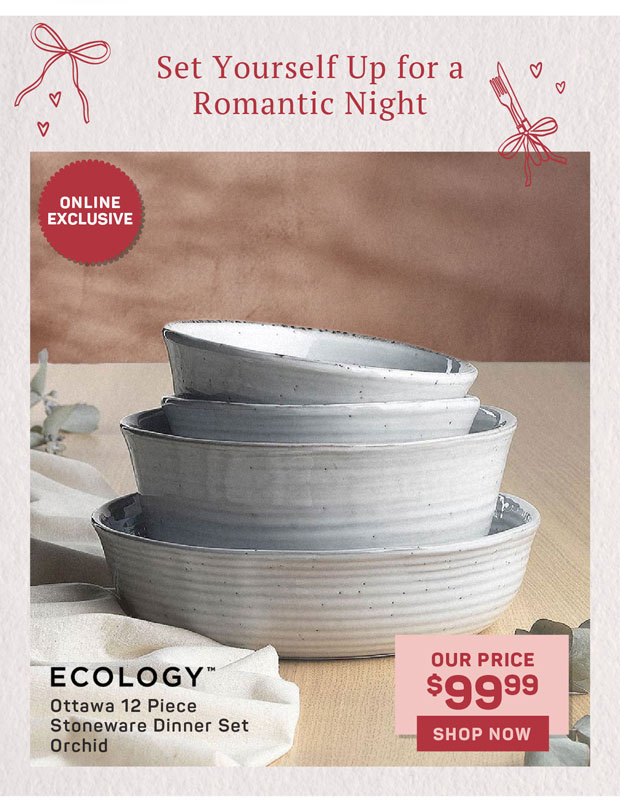 Ecology Ottawa 12 Piece Stoneware Dinner Set Orchid