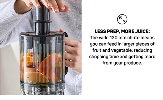 Baccarat The Healthy Squeeze Slow Press Juicer