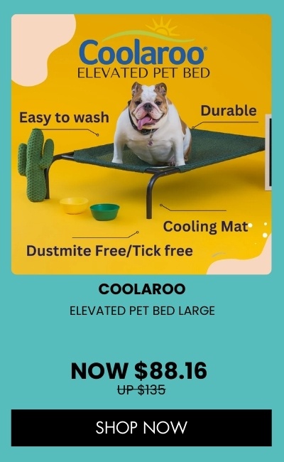 COOLAROO ELEVATED PET BED LARGE