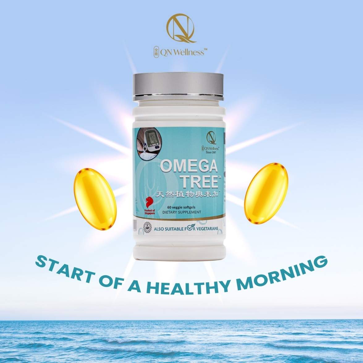 QN wellness