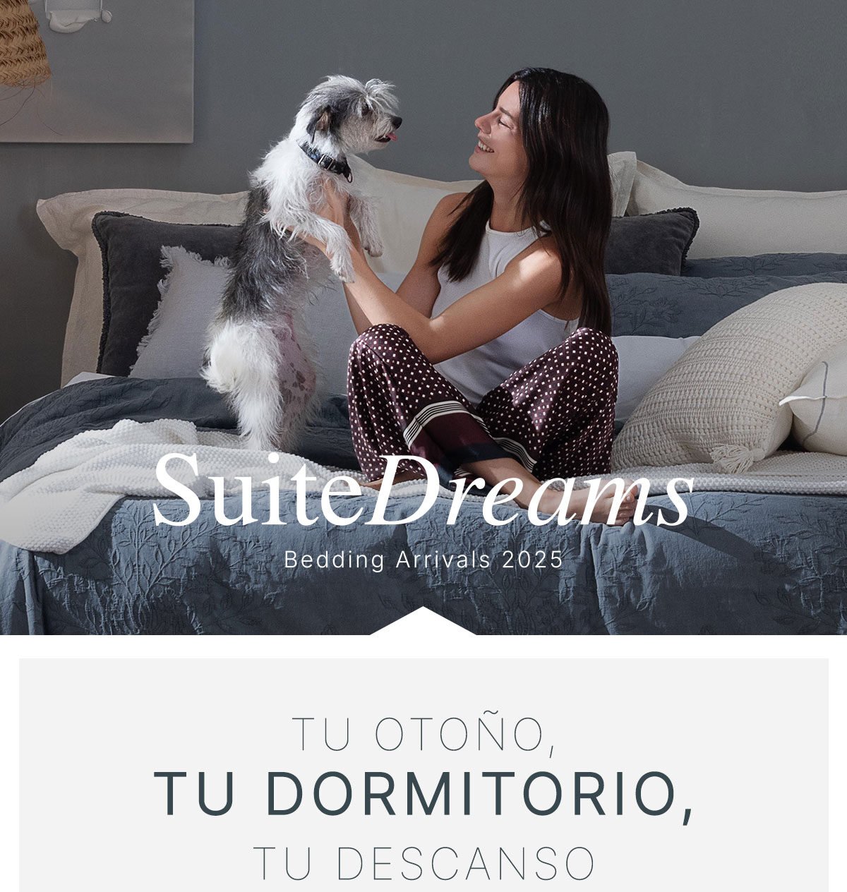 Suite Dreams Bedding Arrivals 2025