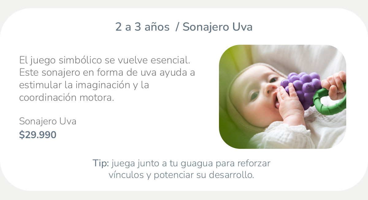 S45_BR-EMKT_Etapas-061125_10