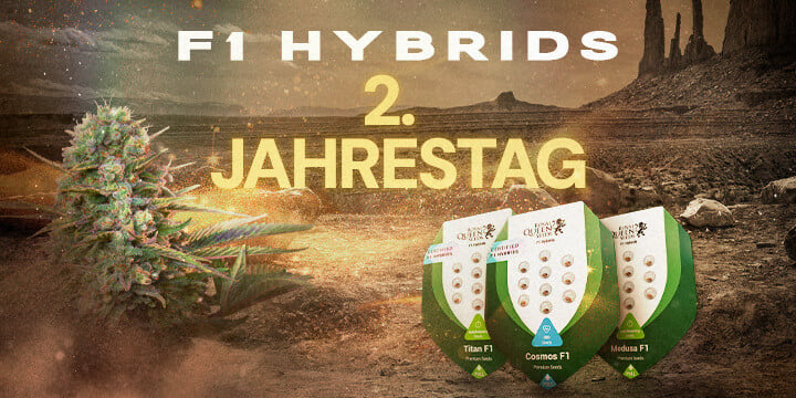 HybridsF1_Richpush_DE