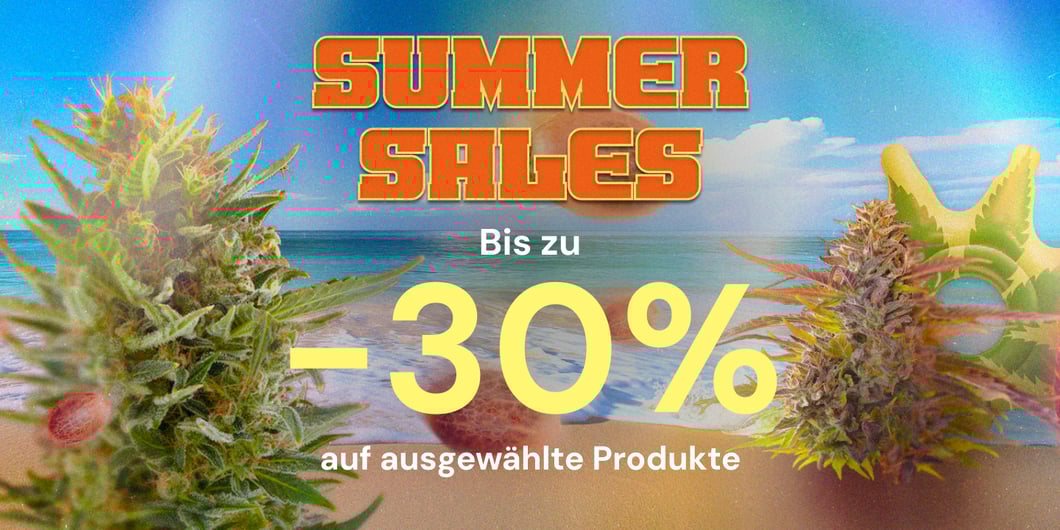 push_Template_DESK_DE