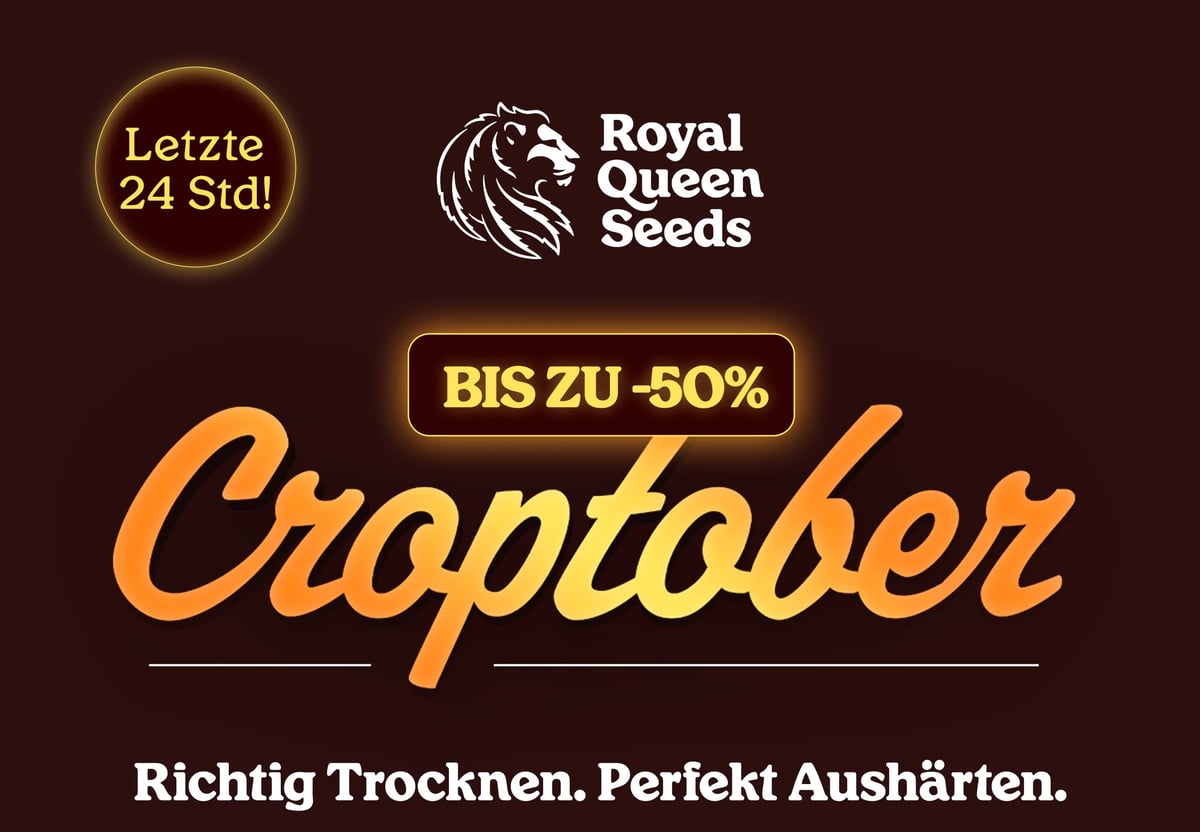 Mail_Croptober_24h_DE