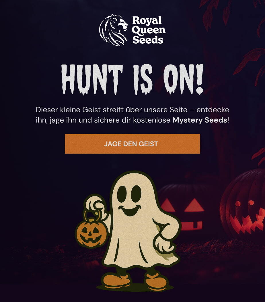 mail_header_Halloween_Hunt_DE