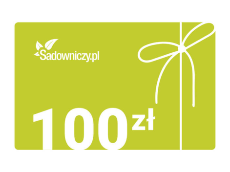 Karta podarunkowa 100 zł