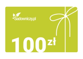 Karta podarunkowa 100 zł