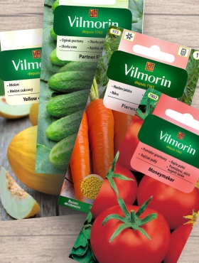 Grzybnia Prawdziwek brzozowy 10g