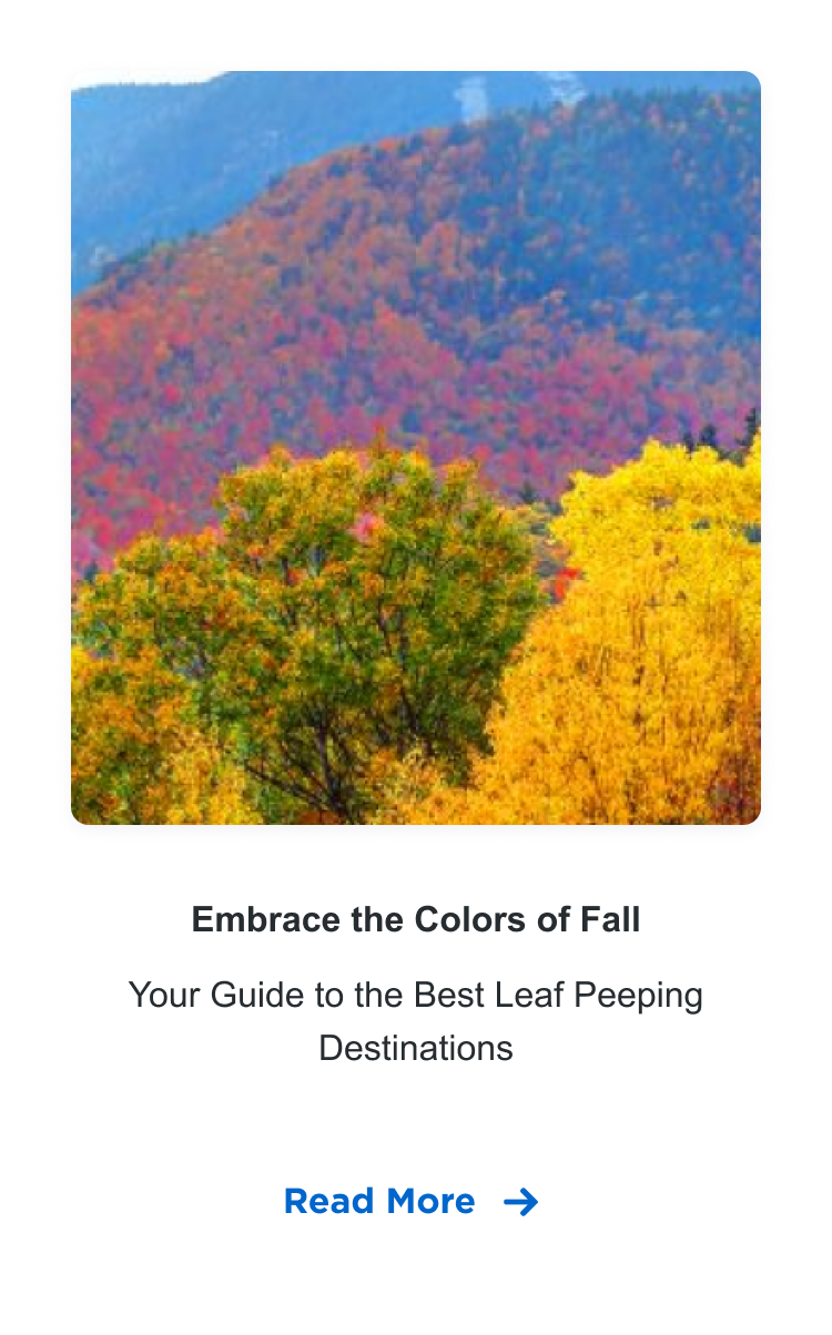 Embrace the Colors of Fall | Your Guide to the Best Leaf Peeping Destinations | Read More